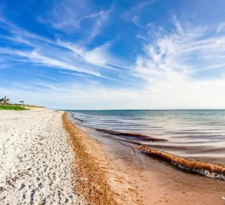 Haus Ostseesprung - - Gratis Wlan, Parkplatz Und Gem Garten * Bad Doberan